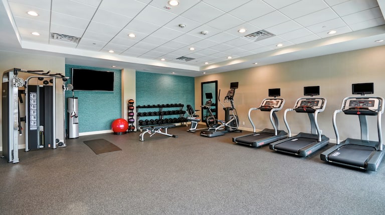 Fitness Center with Treadmills, Weights, Medicine Ball, Dumbbells, and Recumbent Bike
