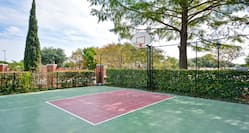Outdoor Sport Court Featuring Basketball