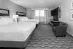 Conference Suite Beds