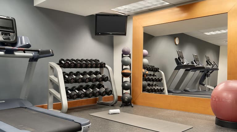 Fitness Center with Treadmill, Dumbbell Rack, Wall Mounted TV and Gym Ball