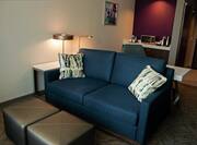 Suite Living Area Sofa