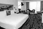 King Guest Room