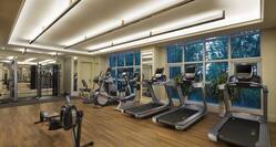 Treadmills and Recumbent Bikes in Fitness Center