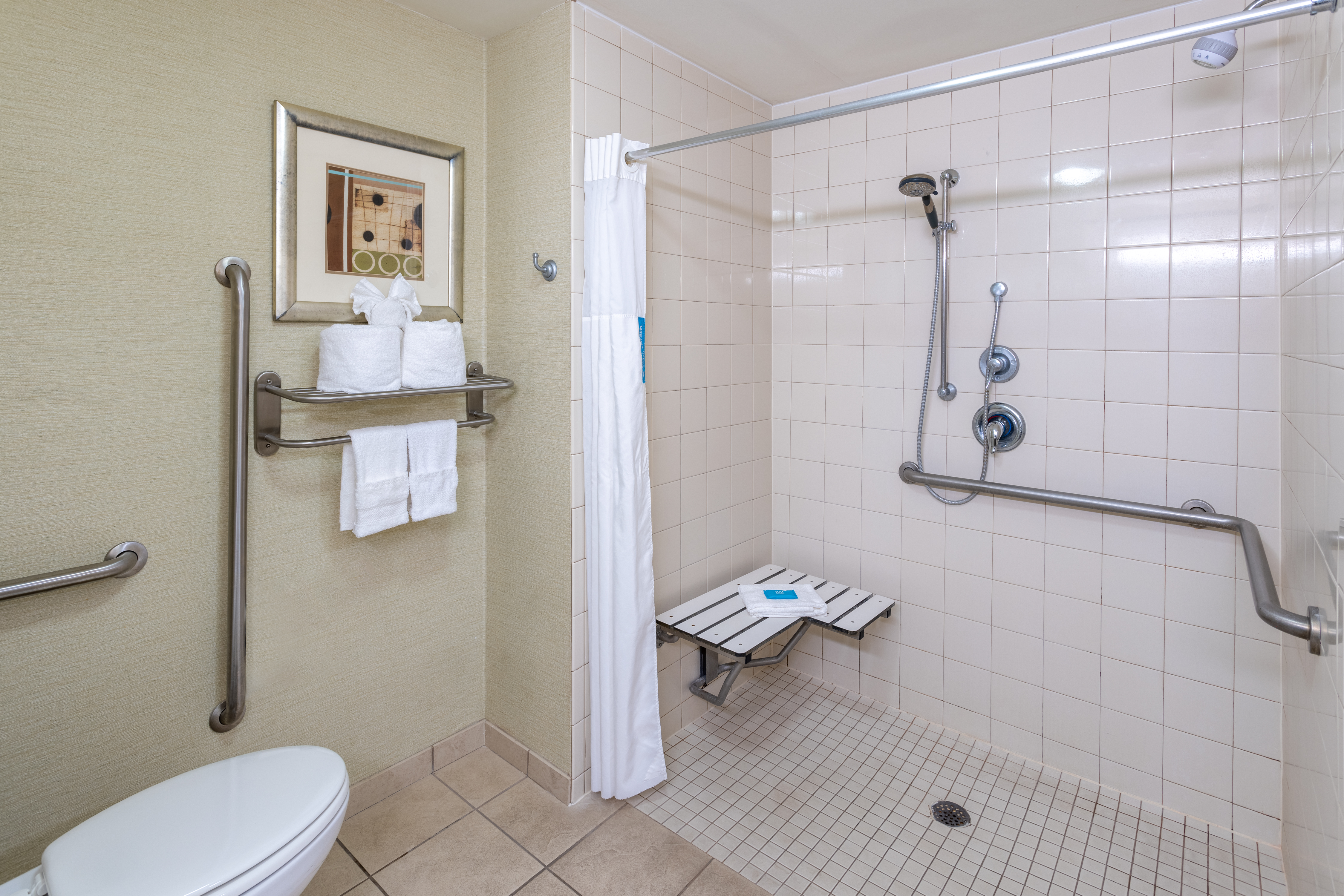 accessible bathroom with roll-in shower