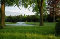 Forest Pines Water Feature on Golf Course