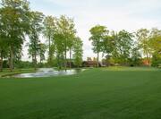 Stand of Tall Trees Frame Water Feature on Golf Course