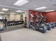 Fitness Center WIth Stability Ball, Free Weights, Weight Balls, and Cardio Equipment