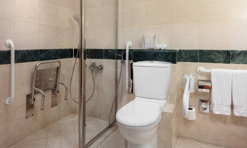 Accessible Bathroom with Grab Bars and Seat in Roll in Shower-previous-transition
