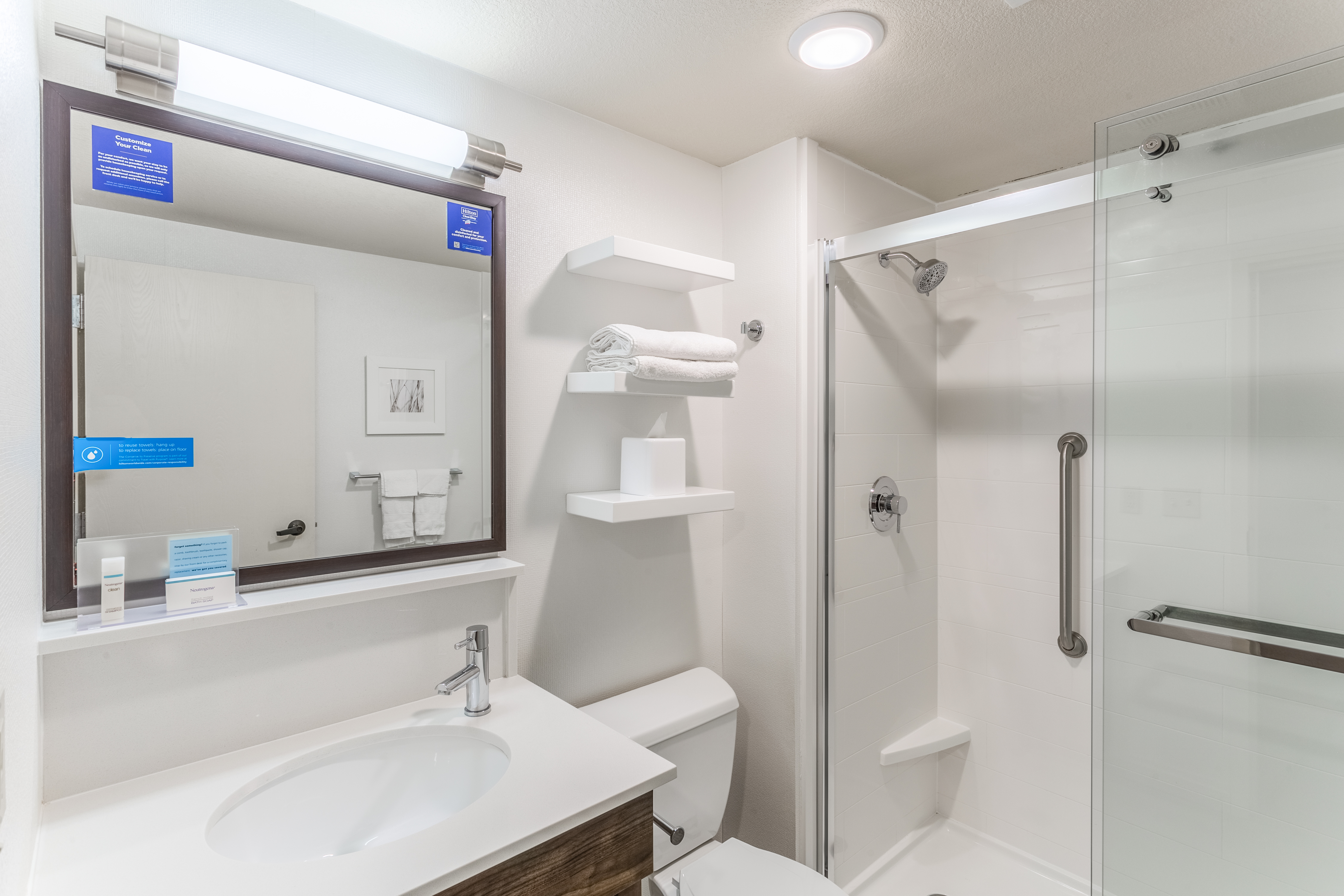Bathroom Vanity Area and Shower