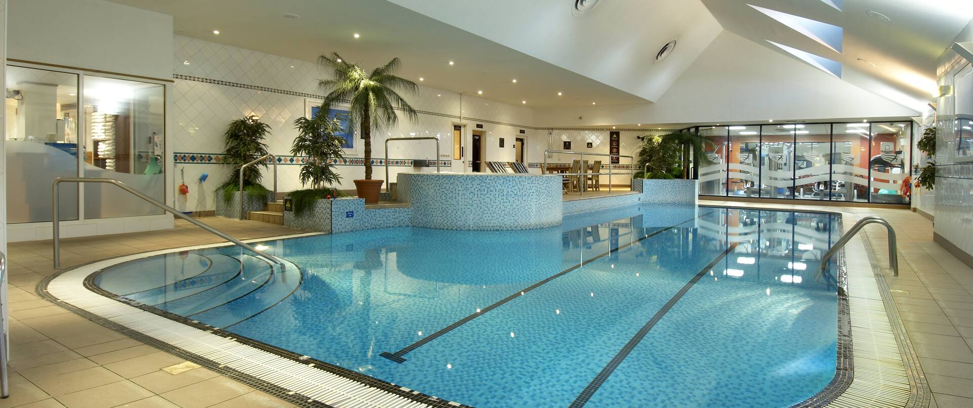 Indoor Swimming Pool 