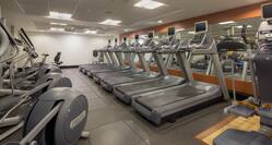 Livingwell Gym Treadmills  