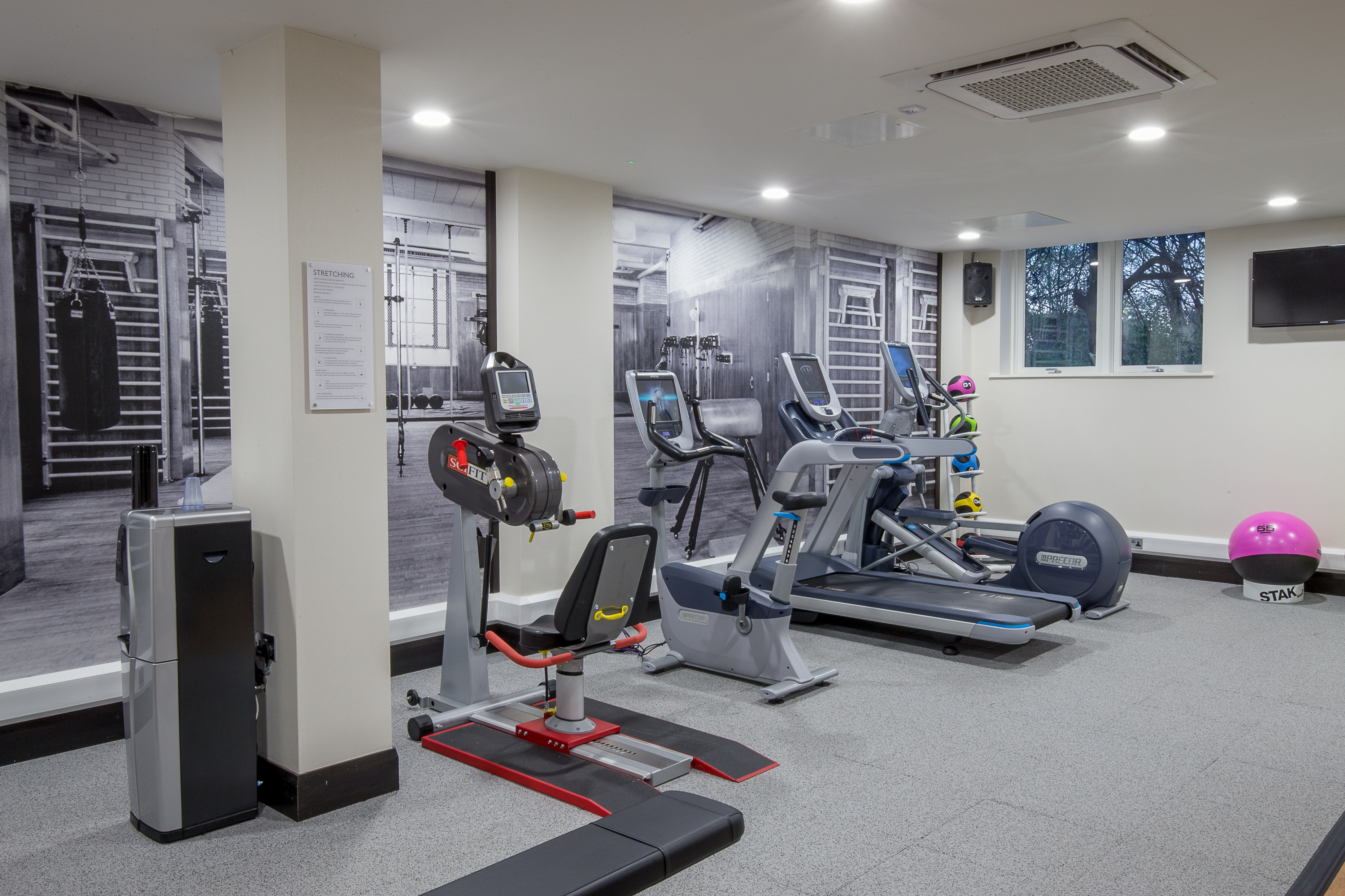 Fitness Suite With Weight Bench, Water Cooler, Mirrored Wall With Reflection of Punching Bag, Precor Cardio Equipment, Windows, TV, and Exercise Ball