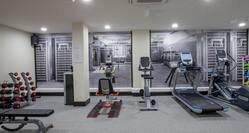 Fitness Suite With Weight Bench, Free Weights, Water Cooler, Mirrored Wall, Precor Cardio Equipment, and Weight Balls