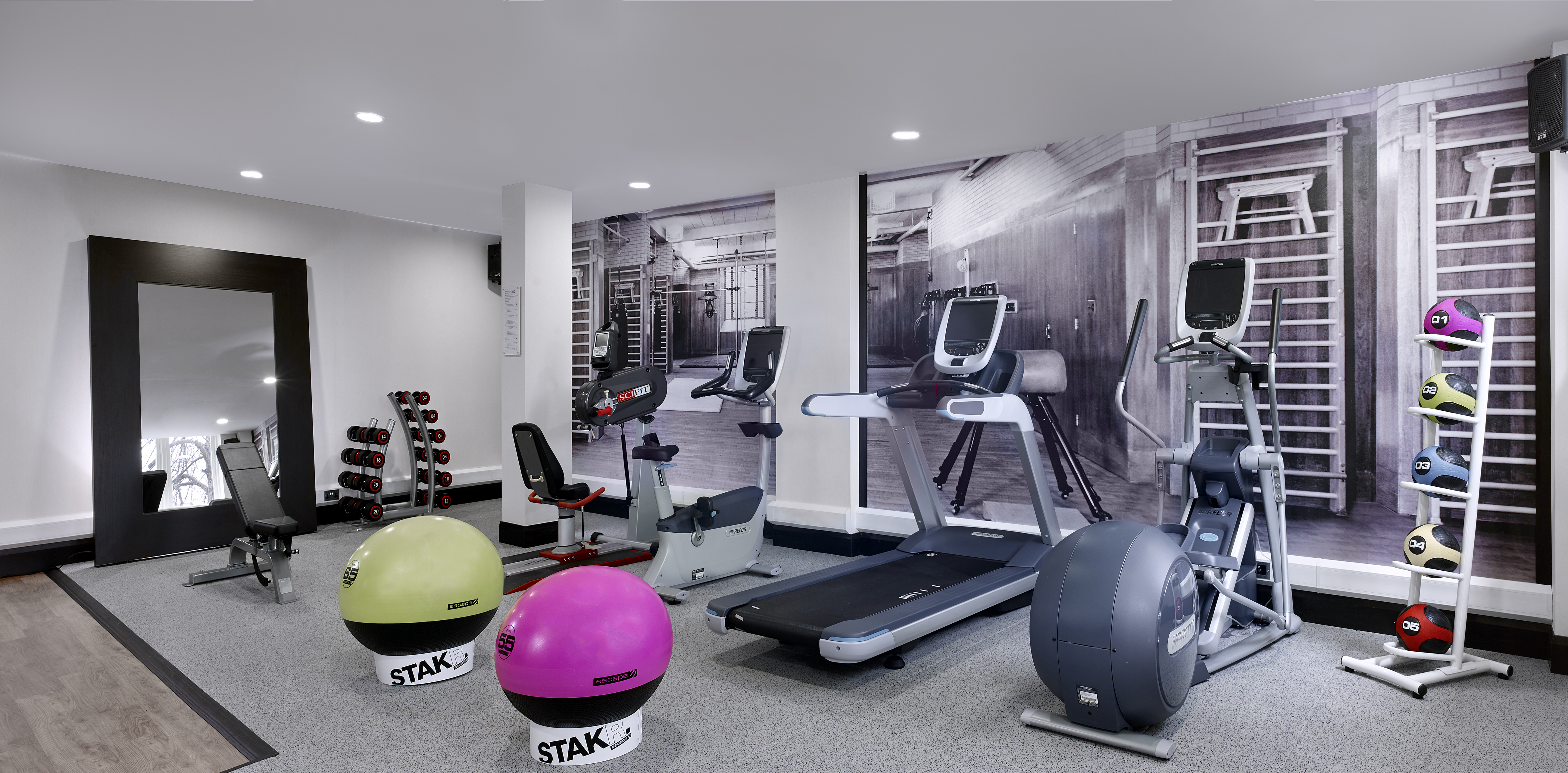 Fitness Center With Exercise Balls, Weight Bench, Large Mirrors, Free Weights, Mirrored Wall, Precor Cardio Equipment, and Weight Balls
