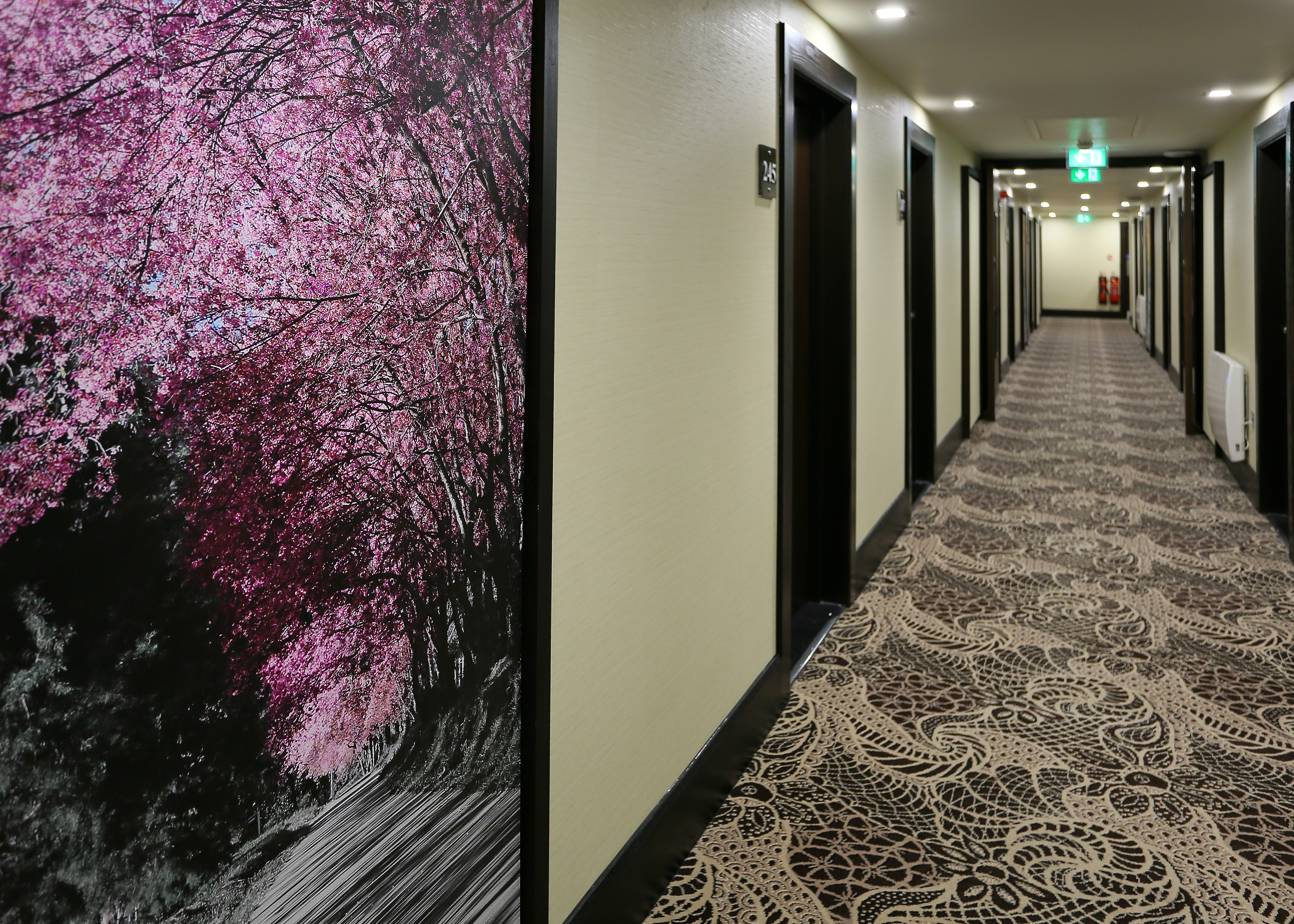 Wall Art and Guest Room Doors in Long Corridor