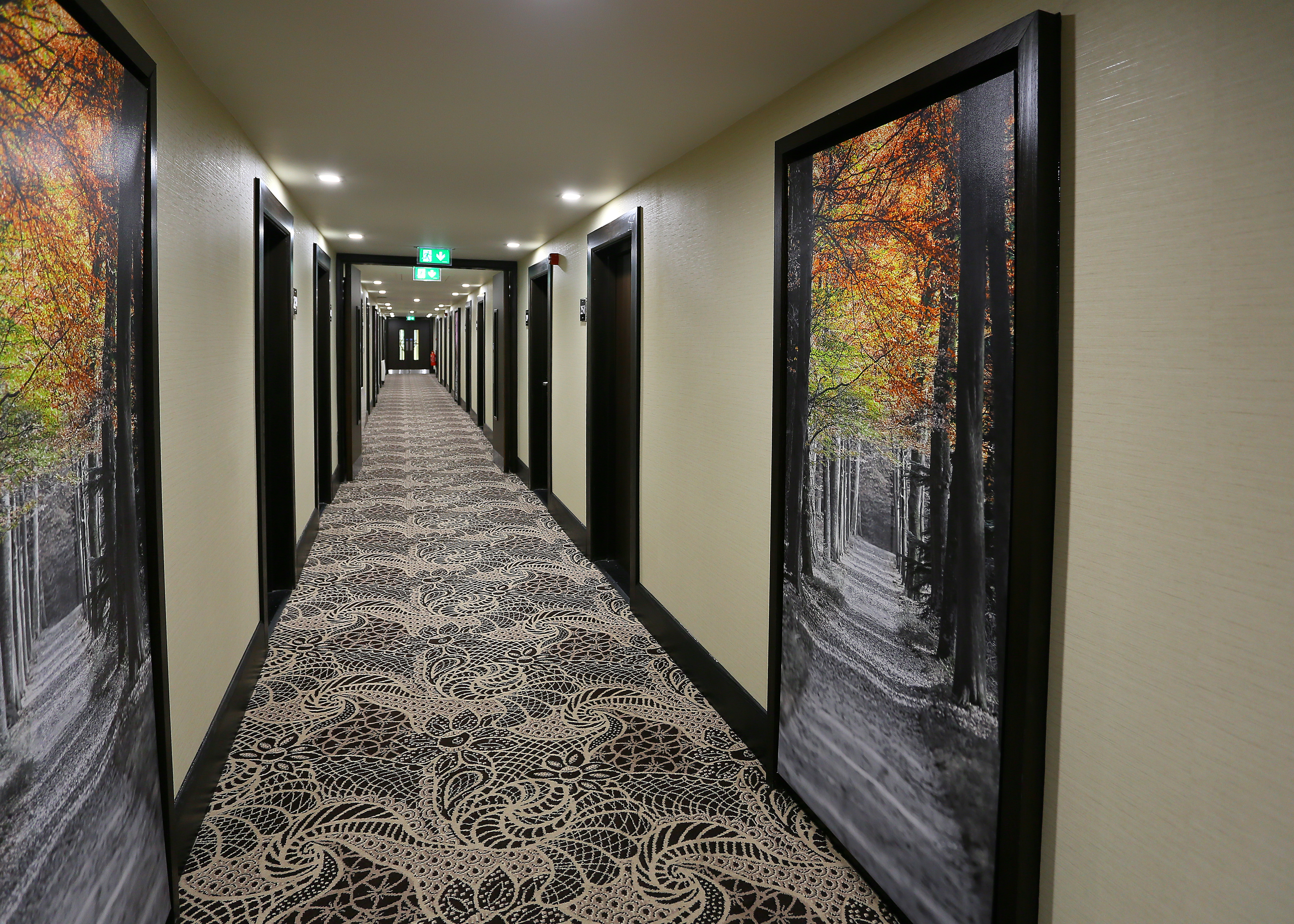Long Corridor With Tree Art and Guest Room Doors