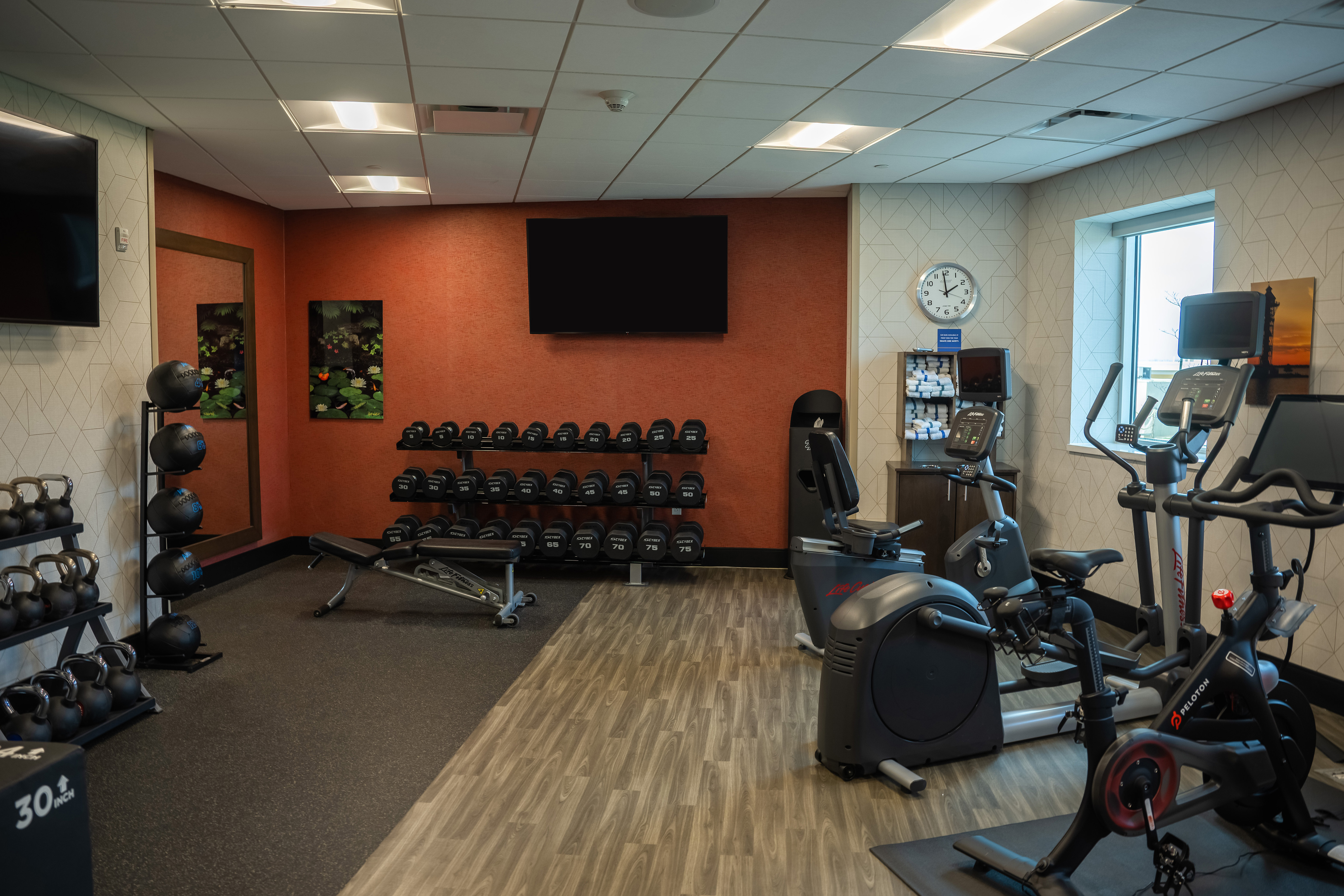 Fitness Center with Weights, Exercise Balls and Recumbent Bikes