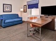Suite Sofa Desk and HDTV Area