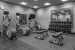 Fitness Room with Weights and Other Exercise Equipment