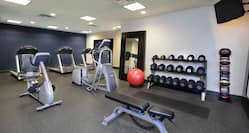 Fitness Center with Weight Bench, Cycle Machines, Treadmills, Dumbbell Rack and Wall Mounted HDTV