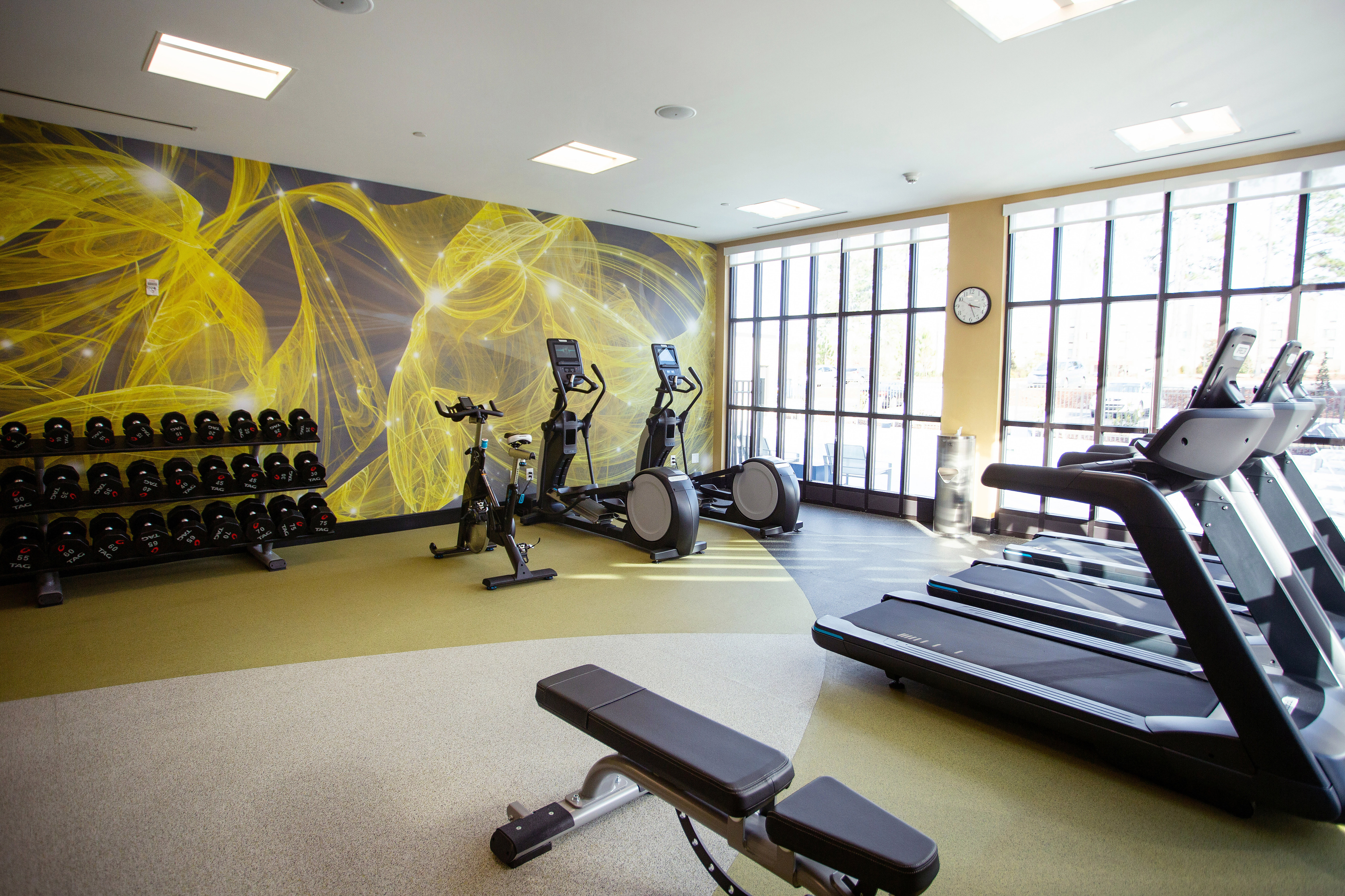 Weights and Treadmills in Fitness Room