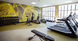 Weights and Treadmills in Fitness Room