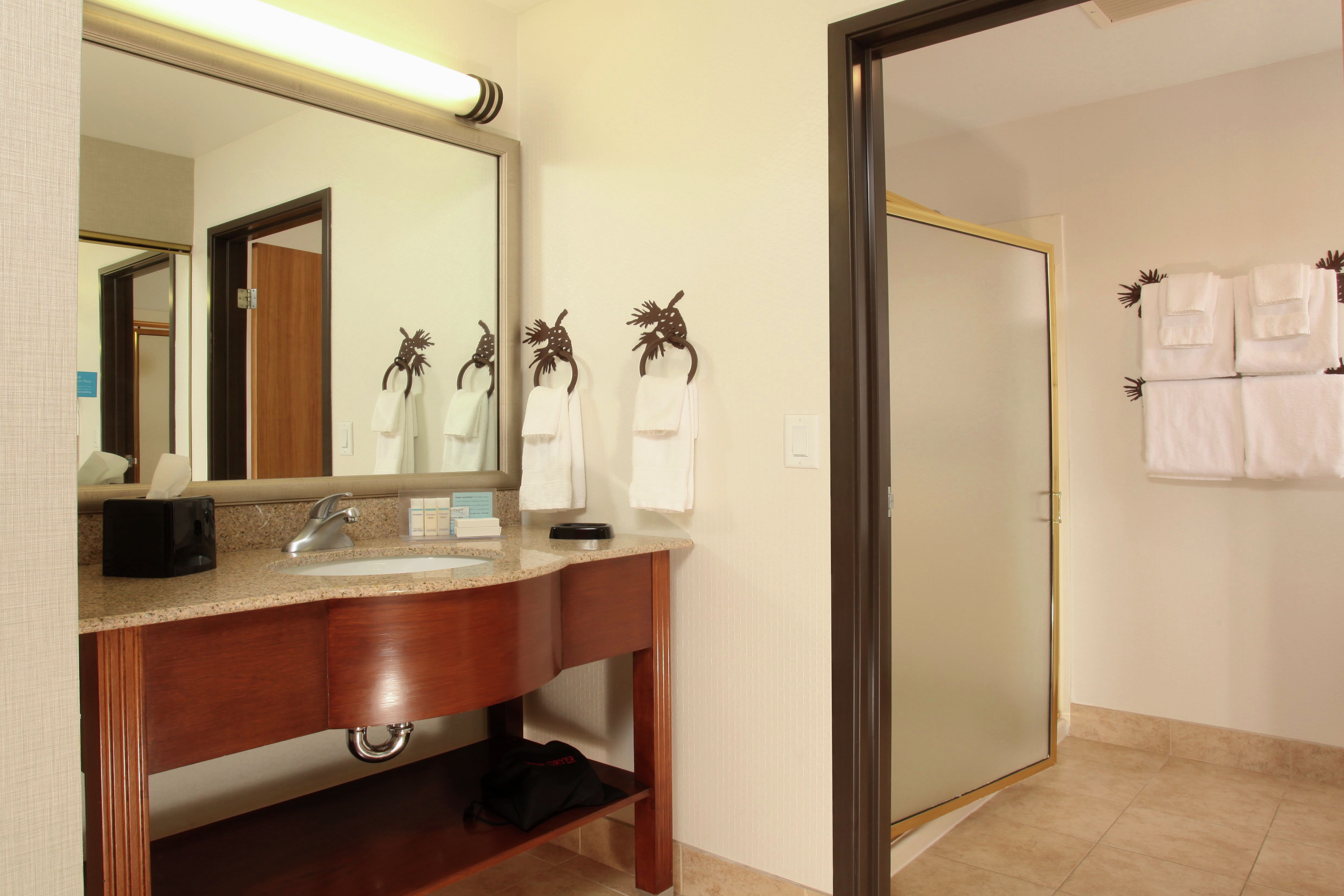 1 King Suite Bathroom with Walk-In Shower
