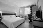 Camera Evolution con letto king size