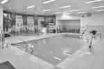 Indoor Pool and Whirlpool