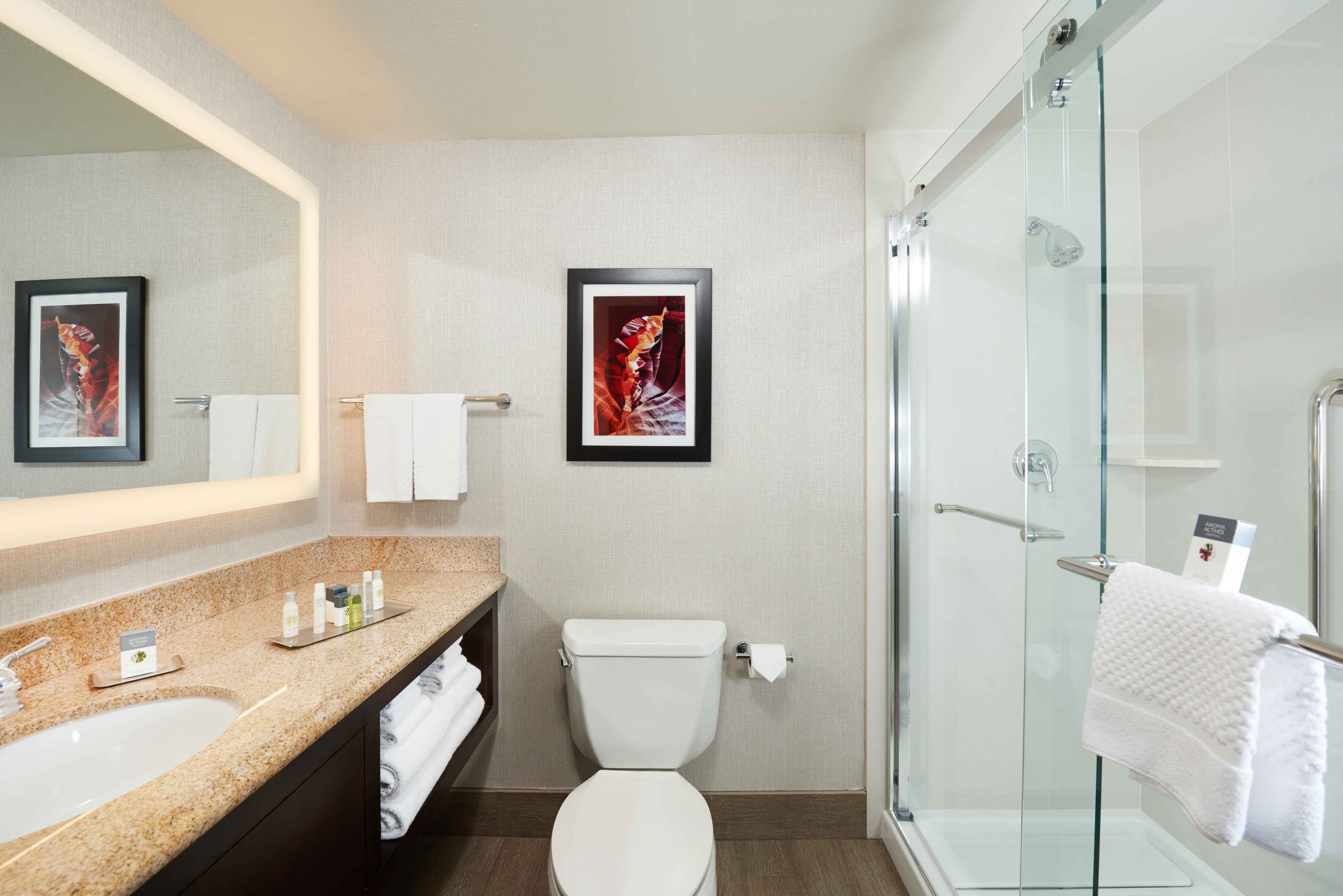 Large Vanity Mirror, Sink, Fresh Towels, Amenities, Toiletries, Wall Art Above Toilet, and Shower With Glass Doors