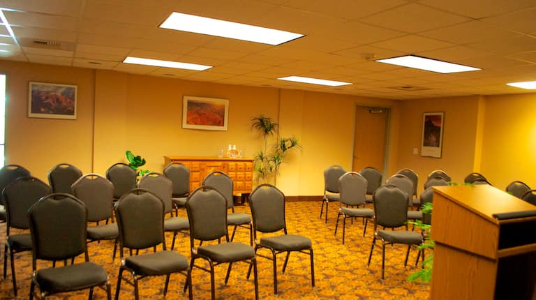 Theatre style meeting room