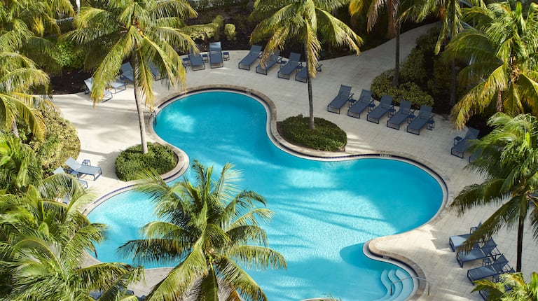 Outdoor Pool Area with Palm Trees and Lounge Chairs