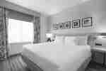 Bright private guest room in junior suite featuring comfortable kind bed.