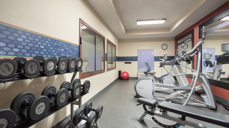 Fitness Center with Dumbbell Rack and Cardio Equipment