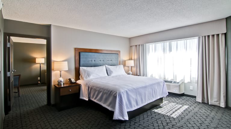 1 King Bed 1 Bedroom Suite