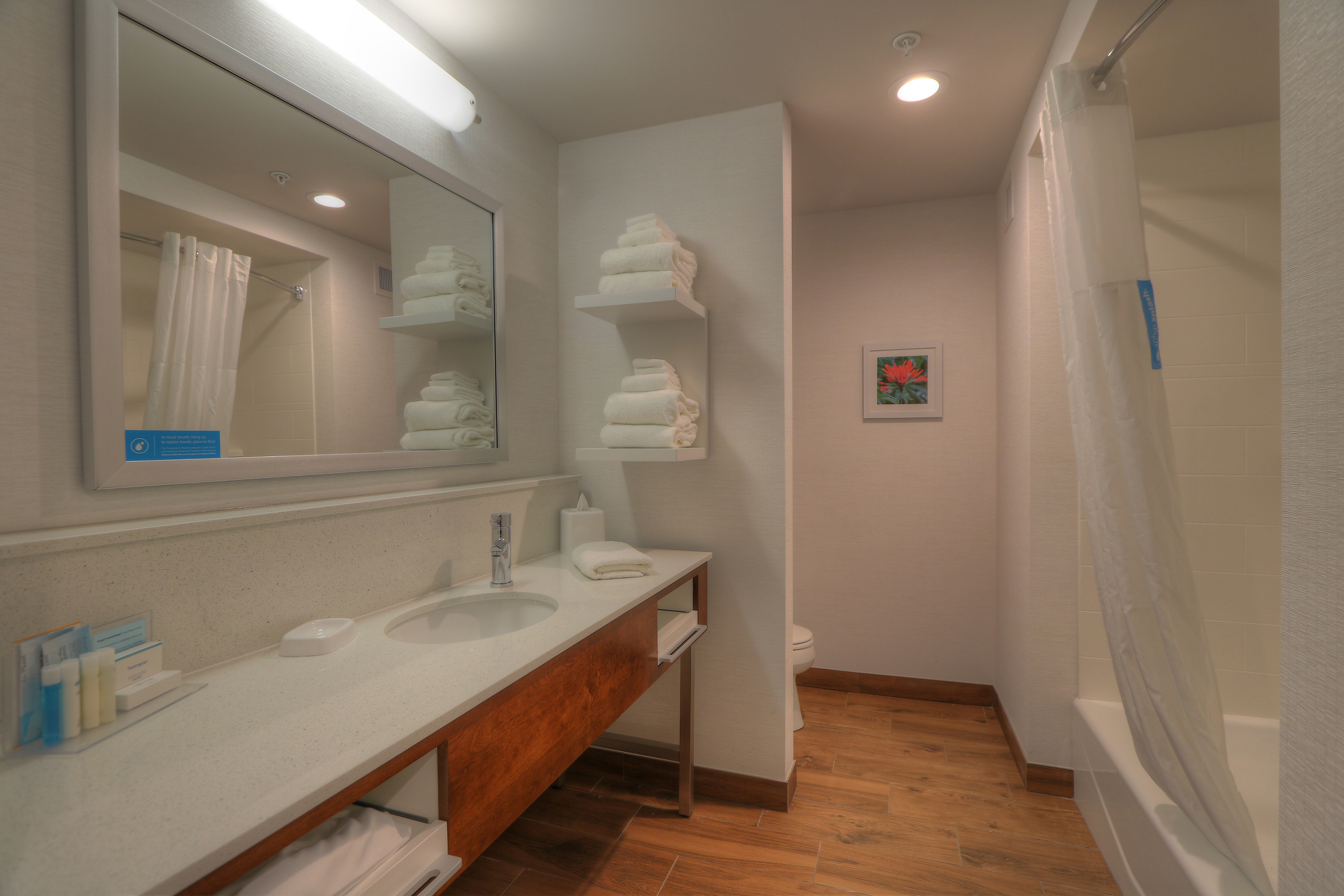 Guest Bathroom Mirror, Sink, Towel Shelf and Tub