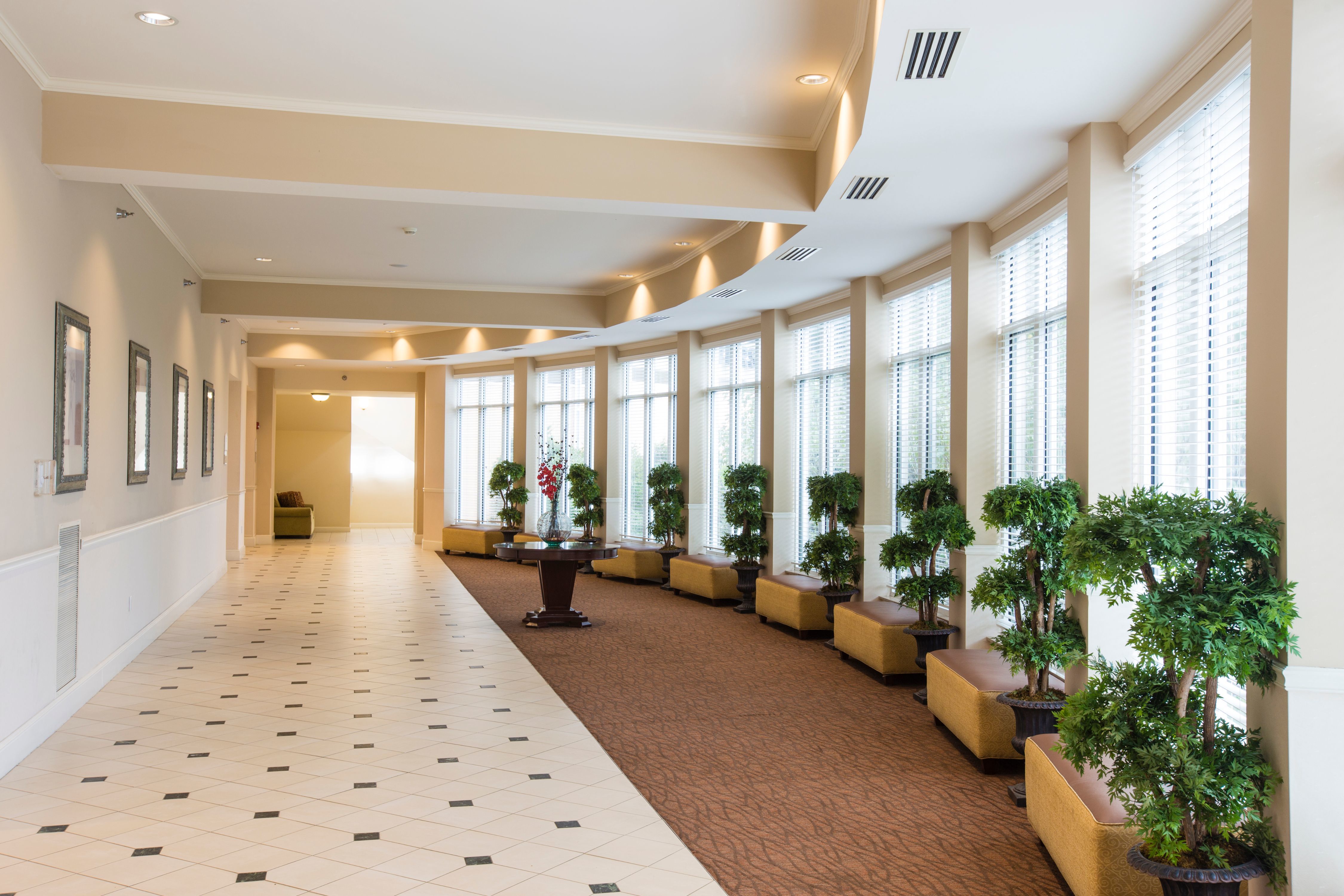 Banquet Hallway with Plants and Windows