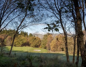 golf course surrounded by forest  