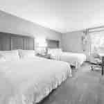 客房（2 張大床）