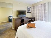 One King Bed Guest Suite with HDTV