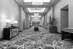 Pre-function Area