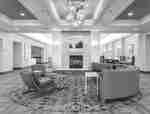 Homewood Suites by Hilton Greenville Hotel, SC - Lobby 