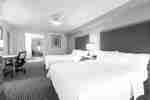 Extended Stay Greenville Sc Hotel Homewood Suites