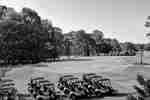 Golf Carts Parked at Golf Course
