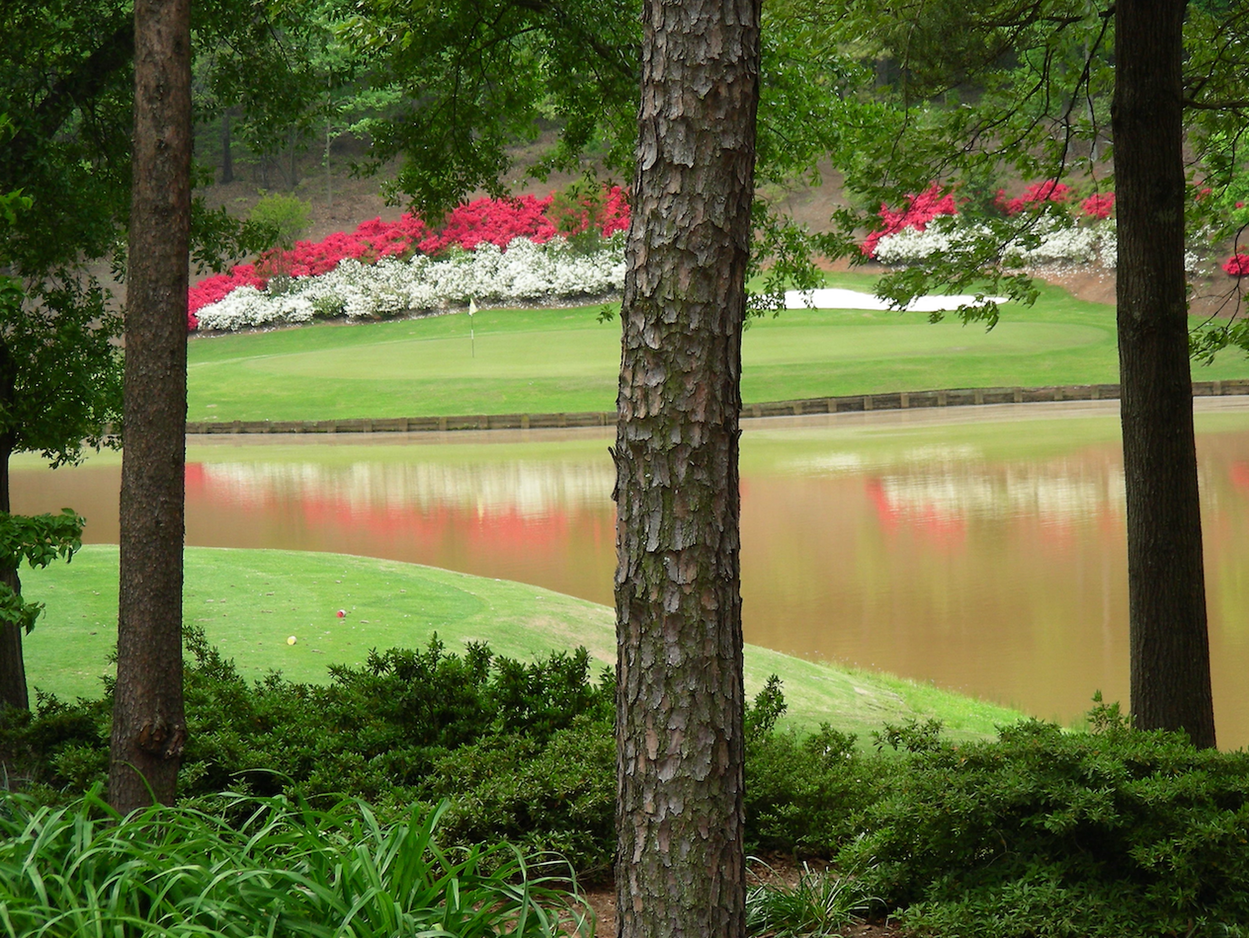 View of water and flowers from the course 