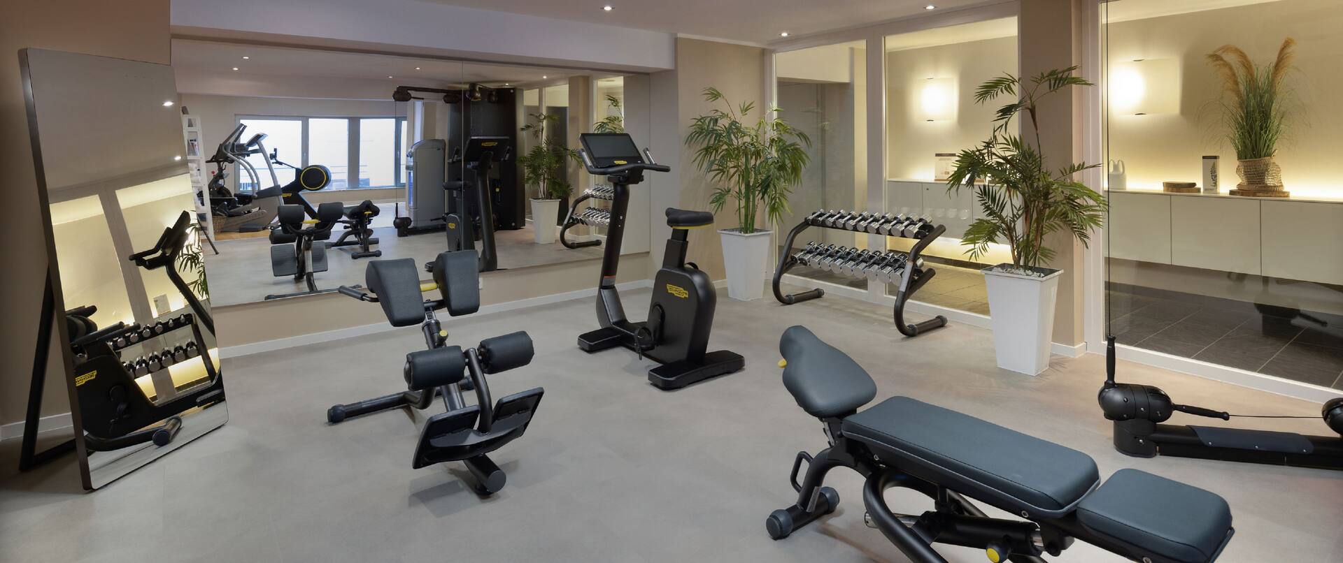Fitness Room with Weights and other Exercise Equipment