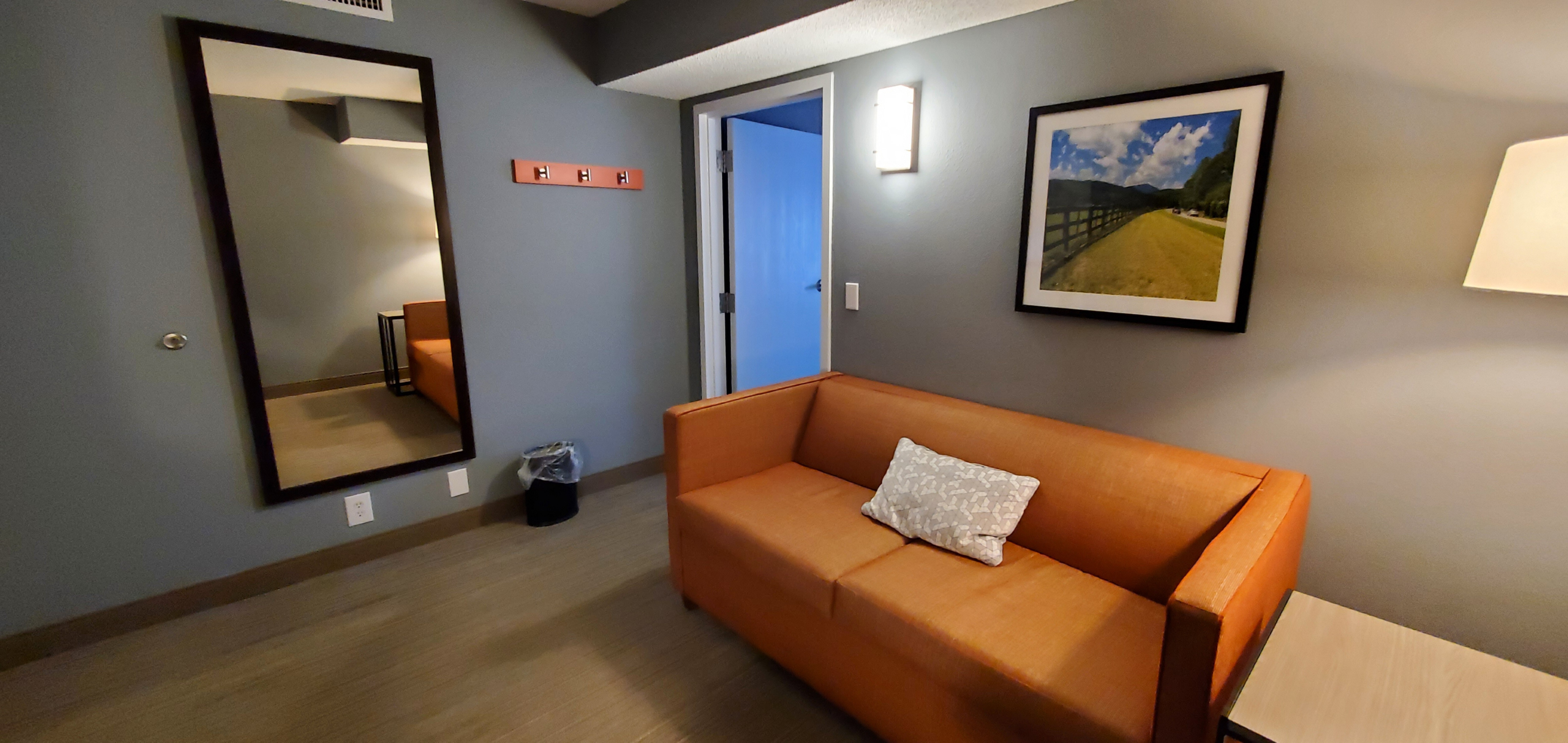 Suite Living Area