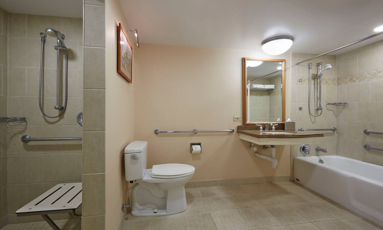 Guest Bathroom Accessible Roll-In Shower and Bath Tub with Mirror, Sink and Toilet