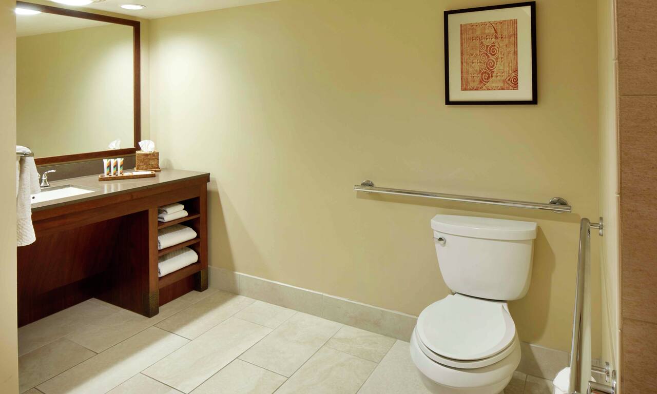 Accessible Shower Diamond Head Guestroom Bathroom with Mirror, Vanity, and Toilet