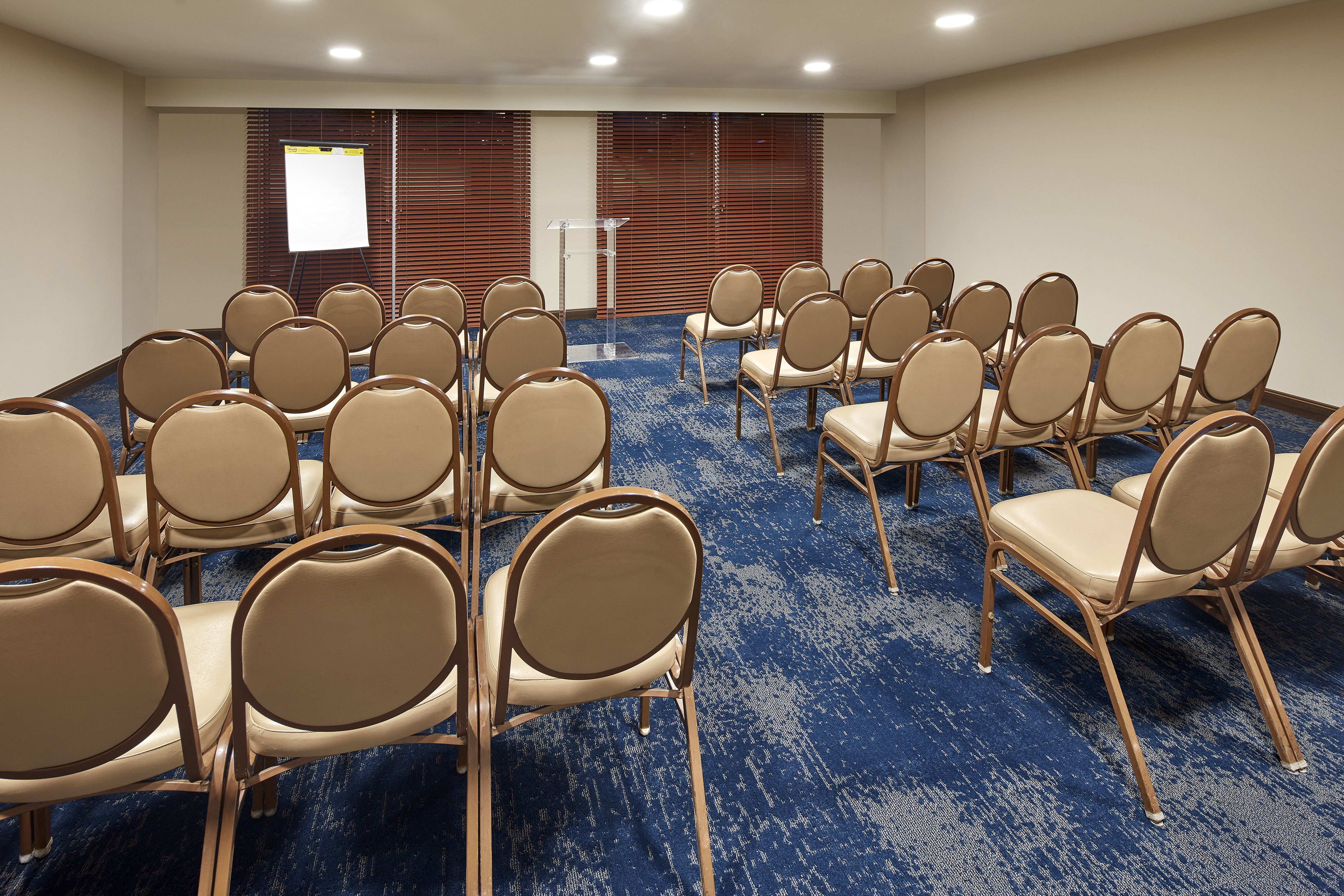 Meeting Room With Theater Seating For 32 Facing Presentation Easel and Podium